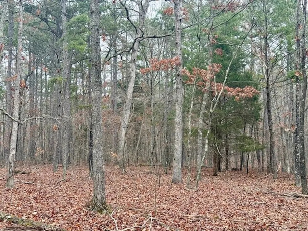 36.91 acres Across Road from Conservation Land Close to Current River and featured image