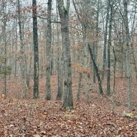 36.91 acres Across Road from Conservation Land Close to Current River and images 3