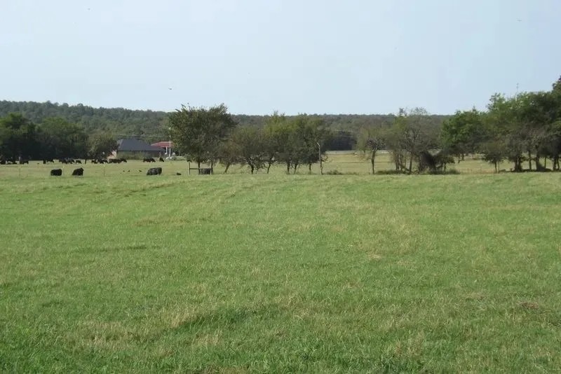 Rouse Road Ranch 405 Acres featured image