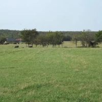 Rouse Road Ranch 405 Acres