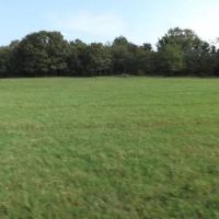 Rouse Road Ranch 405 Acres images 5