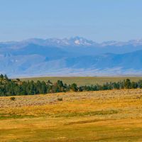 40 Acres Bordering 1600 Ac. Of BLM