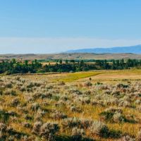 40 Acres Bordering 1600 Ac. Of BLM images 4