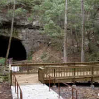 264 Acres Sauta Cave National Wildlife Refuge Duck Hunting in Jackson, AL images 3