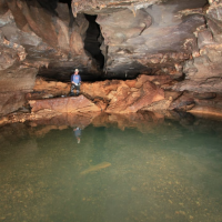 264 Acres Sauta Cave National Wildlife Refuge Duck Hunting in Jackson, AL images 4