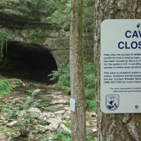 264 Acres Sauta Cave National Wildlife Refuge Duck Hunting in Jackson, AL images 5