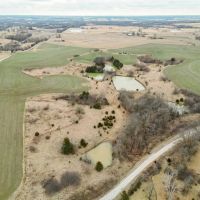 Impeccable rolling farmland in Cooper County Property images 5