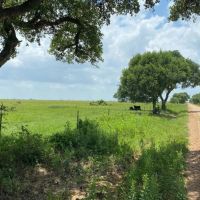 Rock Island Tract 8 14 Acres Only 15K Down images 4