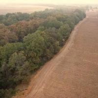 54 Acres in Sunflower County in Ruleville MS