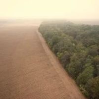 54 Acres in Sunflower County in Ruleville MS images 2
