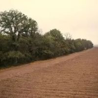 54 Acres in Sunflower County in Ruleville MS images 3