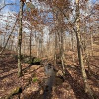 44.2 acres in Randolph County images 2