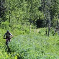 Pondview at Elk Creek Ranch images 4
