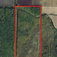 LA - Franklin 80 acres -