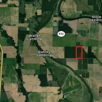 LA - Franklin 80 acres - images 2
