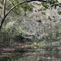 13 Acres with a Home in Newton County in Conehatta MS