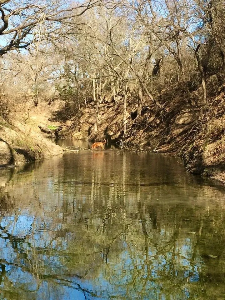 Resley Creek Getaway featured image