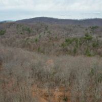 191 Acres in Franklin County Virginia images 3