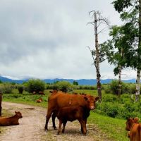 Grover Ranch images 5