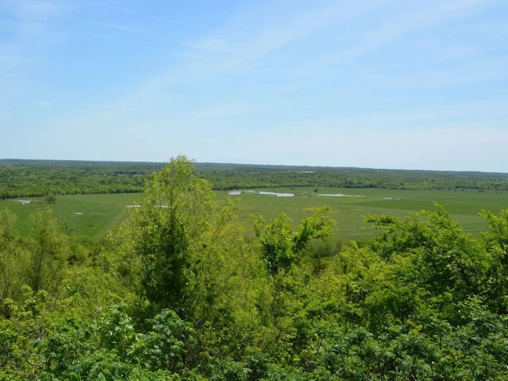 990 - Acres Horton Cattle Ranch Holdenville OK featured image