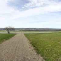 11 acre Building Lot and Recreational Land in North Java NY 5441 Youngers Rd images 2