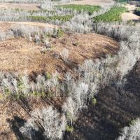 153.44 acres of Recreational Hunting and Agricultural Land in Halifax County VA images 2