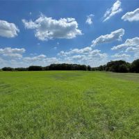 154 Acre Sunset Texas Ranch For Sale images 3