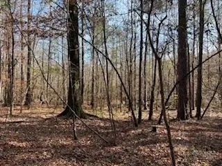 LA - La Salle 35 acres - featured image