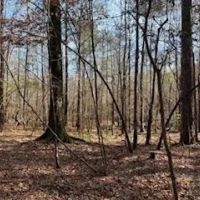 LA - La Salle 35 acres -