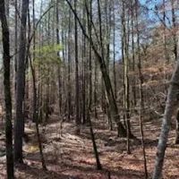 LA - La Salle 35 acres - images 4