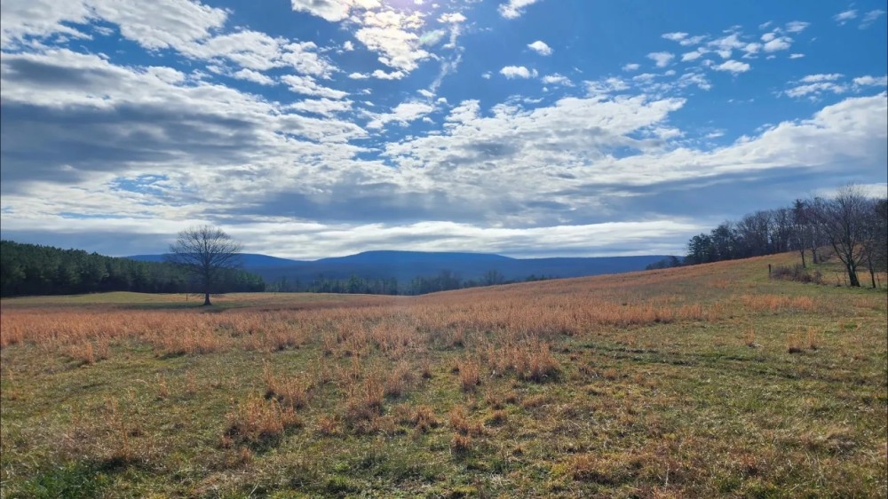 257 ACRE FARM WITH PANORAMIC VIEWS IN CRAB ORCHARD TENNESSEE featured image