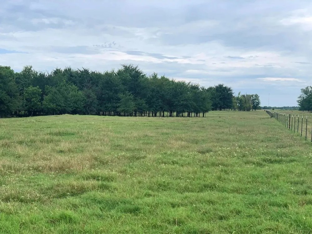 206.13 Acre Oklahoma Cattle Ranch Coalgate OK featured image