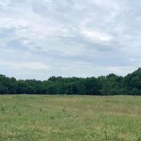 206.13 Acre Oklahoma Cattle Ranch Coalgate OK images 2