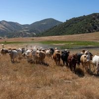 Powderhorn Ranch images 4