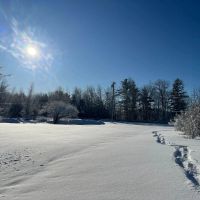 33 acres with 1870 Sq Ft 4 Bedroom Home Fine NY images 3