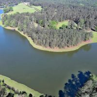Circle N Farm images 2