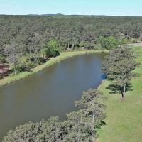 Circle N Farm images 4