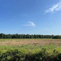 58.51 Acres in Franklin Parish LA