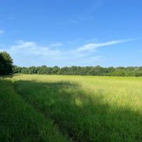 58.51 Acres in Franklin Parish LA images 4
