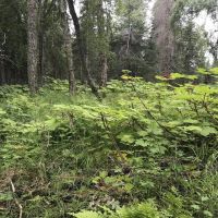 Agate Beach Subdivision images 5
