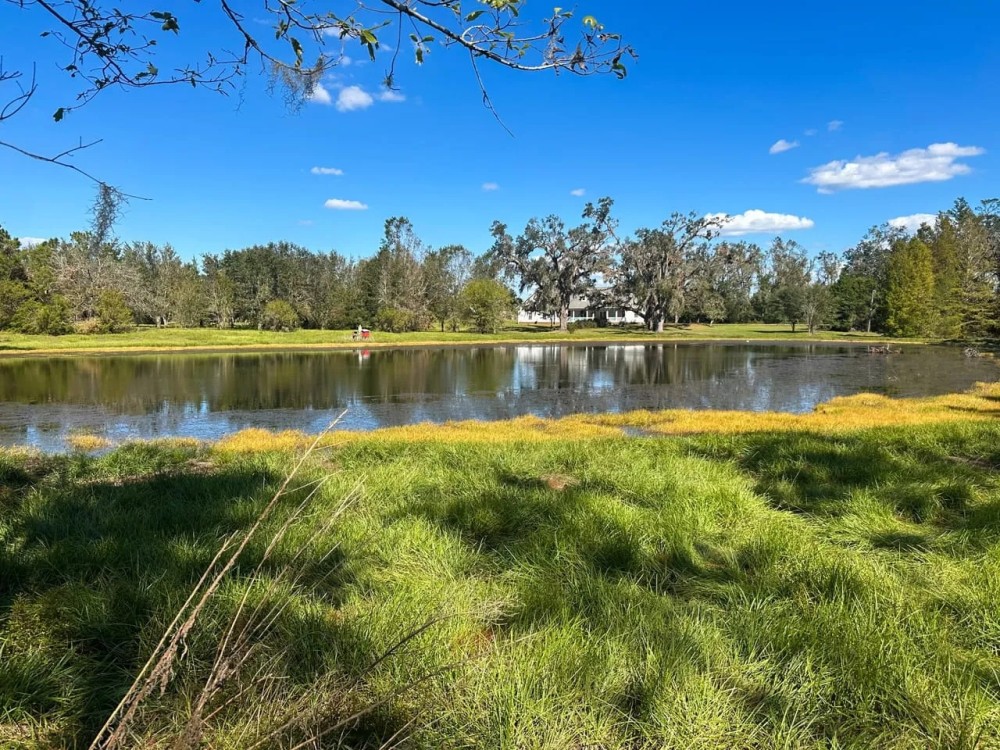 Clayland Homestead featured image