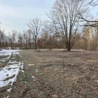 Land For Sale in Clay County IN 27 Acres - images 2