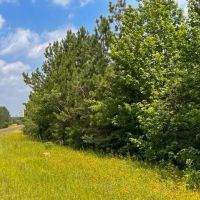 36 acres FM 92 T-11 images 5