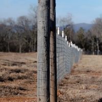 60.85 Acres With a Home in Polk County AR images 4