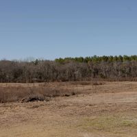 60.85 Acres With a Home in Polk County AR images 5