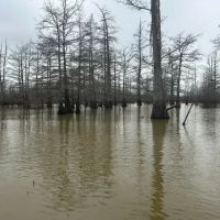 One Equity Share at BoBo Brake Hunting Club in Bolivar and Coahoma Counties MS
