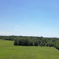 40.33 Acres Undeveloped Land De Kalb TX Bowie County images 2
