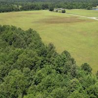 40.33 Acres Undeveloped Land De Kalb TX Bowie County images 4