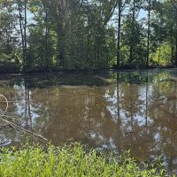 225 Acres in Holmes County MS images 2