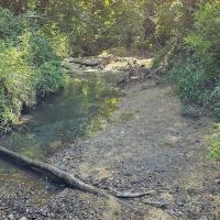 225 Acres in Holmes County MS images 5